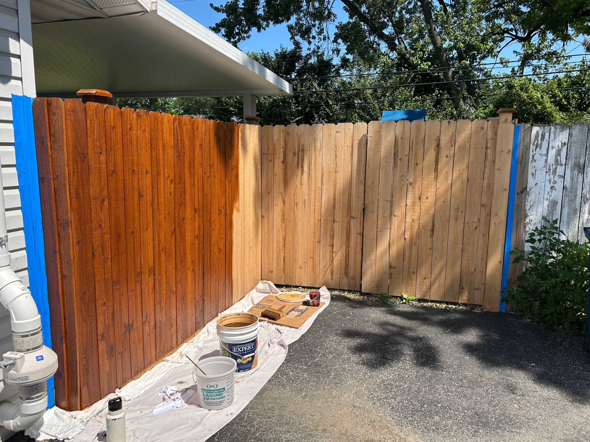 After staining project 1