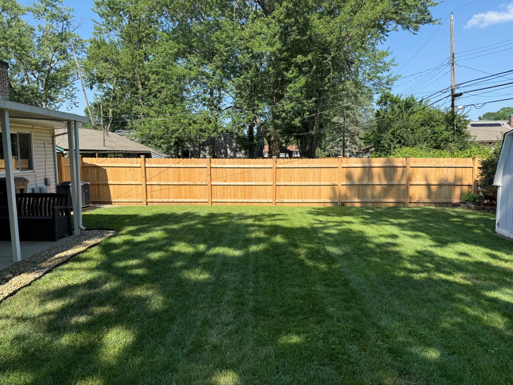 Before staining project 2