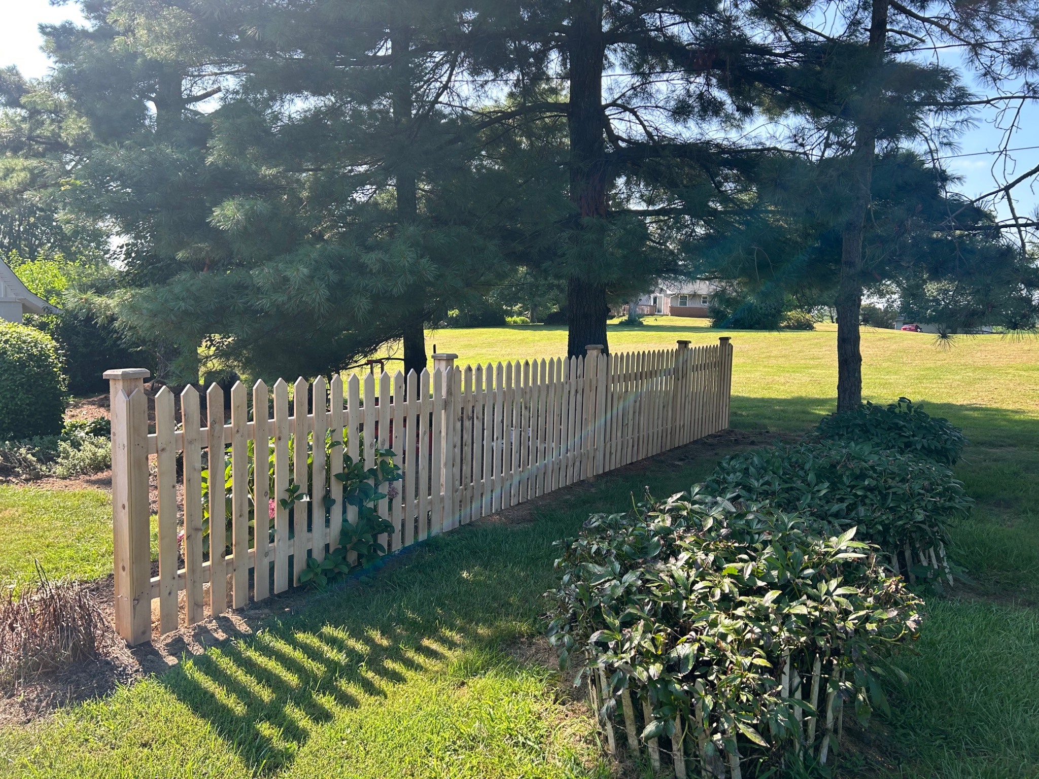 Before staining project 3